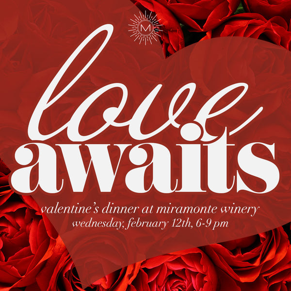 Love Awaits, Valentine Dinner